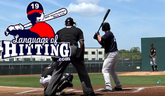 Baseball Hitting Timing Hitting Approach Baseball Swing Analysis Swing Mechanics Language Of Hitting Dave Kirilloff Alex Kirilloff Hitting Drills for TIMING baseball training online hitting coach mike trout swing