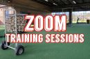 FaceTime or Zoom Call Baseball Training Session